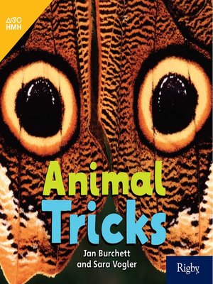 cover image of Animal Tricks